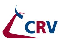 logo_crv