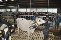 big_28459646_0_200-133