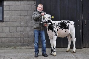 big_29087801_0_300-199