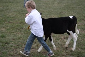 big_29087807_0_300-200