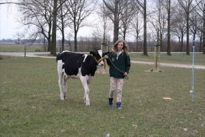 big_29087829_0_300-200