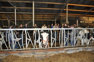 big_32094374_0_300-199