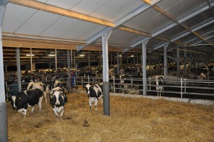 big_32094376_0_300-199