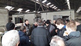 big_52001522_0_275-155