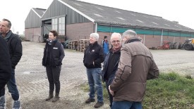 big_52001532_0_275-155